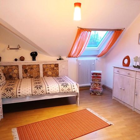 Ferienwohnungen Finke Frankenau Buitenkant foto